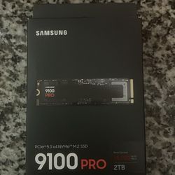 9100 pro 2tb SSD 