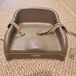 Booster Seat for any chair