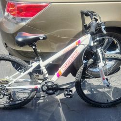Bicycle Mountain 24 In