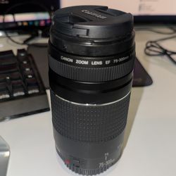 Canon EF 75-300mm Lens
