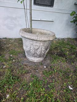 Concrete. planters