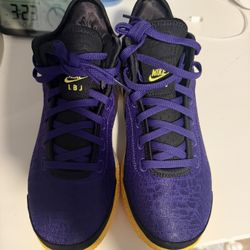 Nike Zoom Lebron James Nxxt Nature 