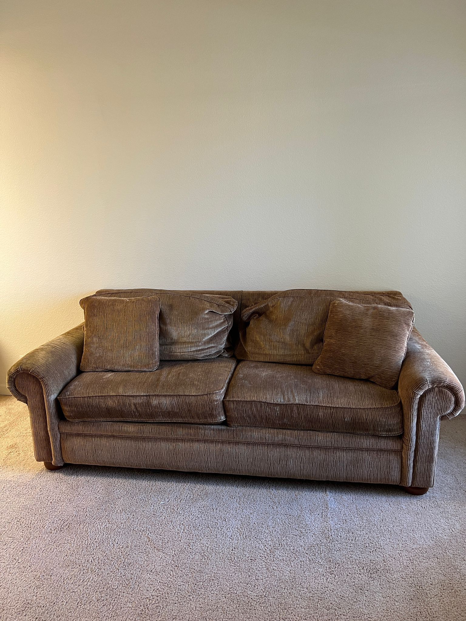 Comfortable Couch for $100