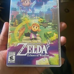The Legend Of Zelda Echoes Of Wisdom