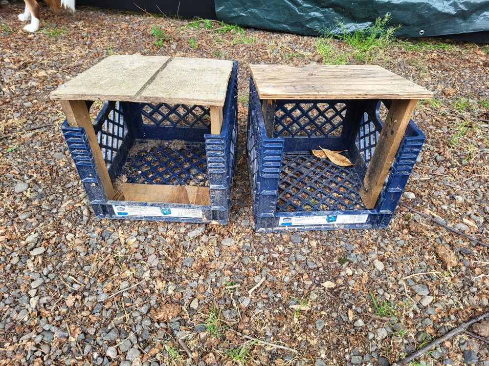 Nesting Boxes For Chicken Coops