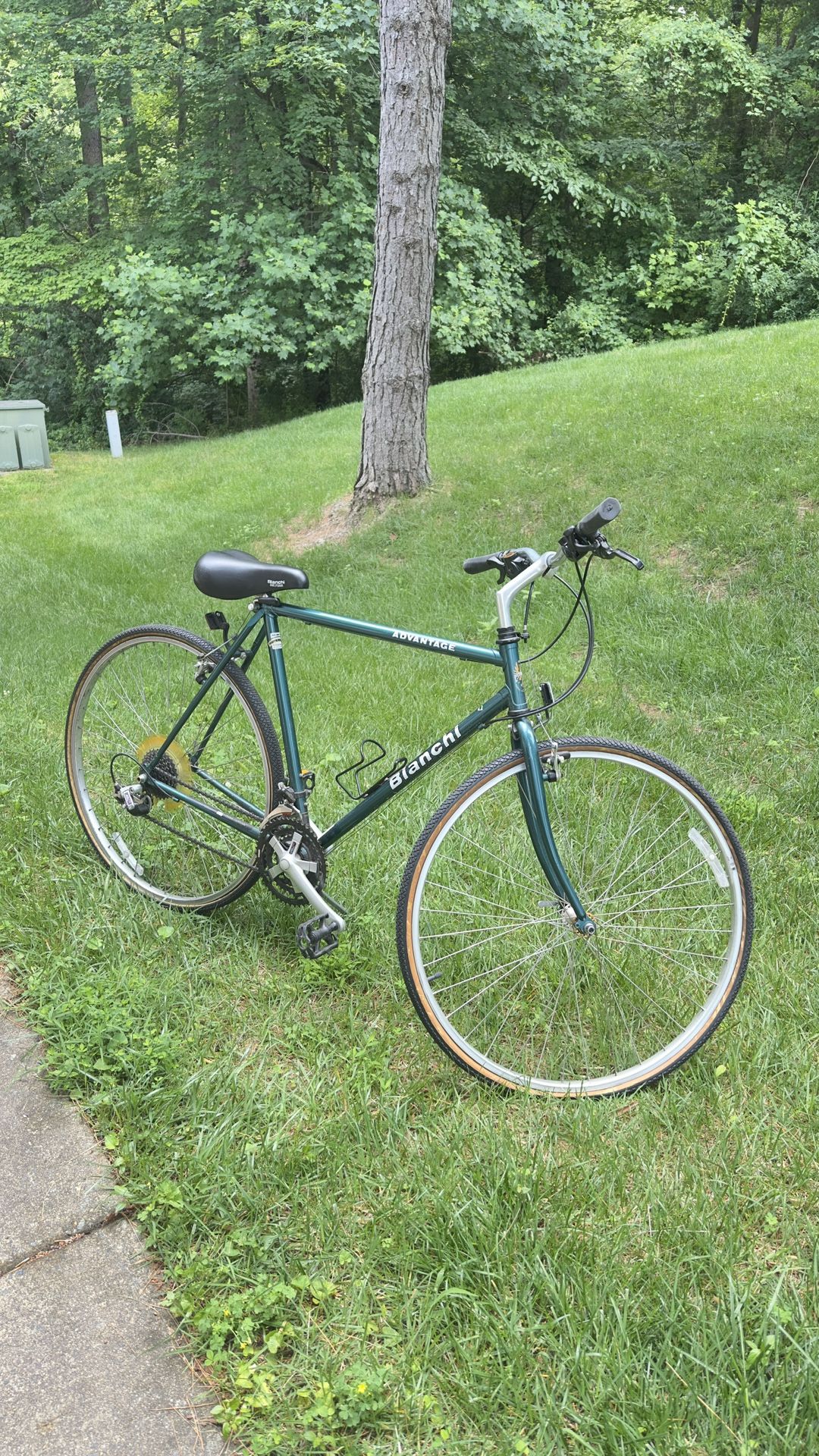 Bianchi Advantage Hybrid Bike