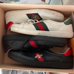 Gucci Sneakers 