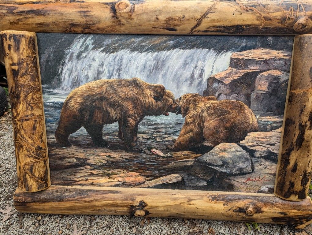 Beautiful Grizzly Bear Gilce