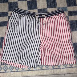 polo swim trunks