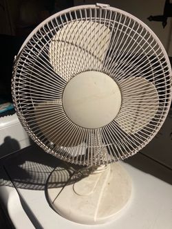 Fan