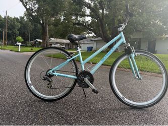 Bicycle 29 inch for women