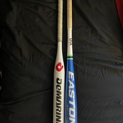 Youth Baseball Bat “29 