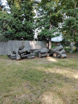 Fire wood