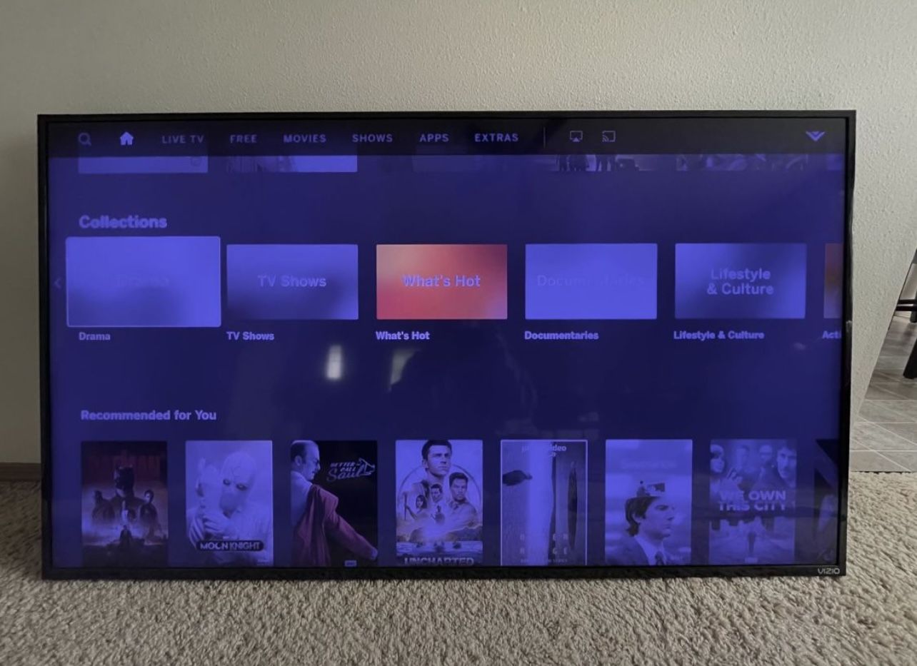 VIZIO 60" Class 4K *Blue Tint Issue* UHD Smart TV HDR E-Series E60-E3