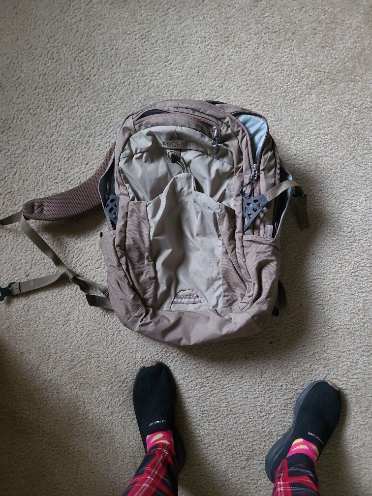 Ascend Backpack 