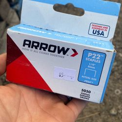 Arrow Fastener  P22  1/4 in. L x 7/16 in. W Steel  Medium Crown  Staples  24 Ga.