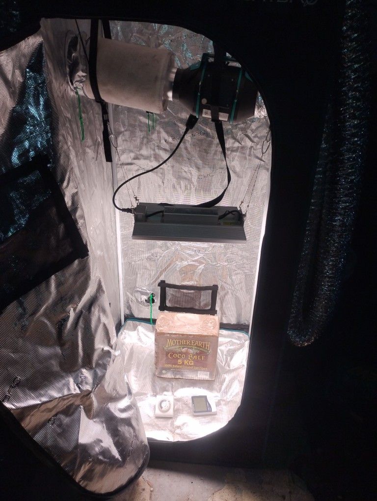 1000 Watt Grow Thousand Watt Grow Lights
