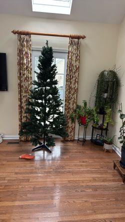 Free Christmas Tree
