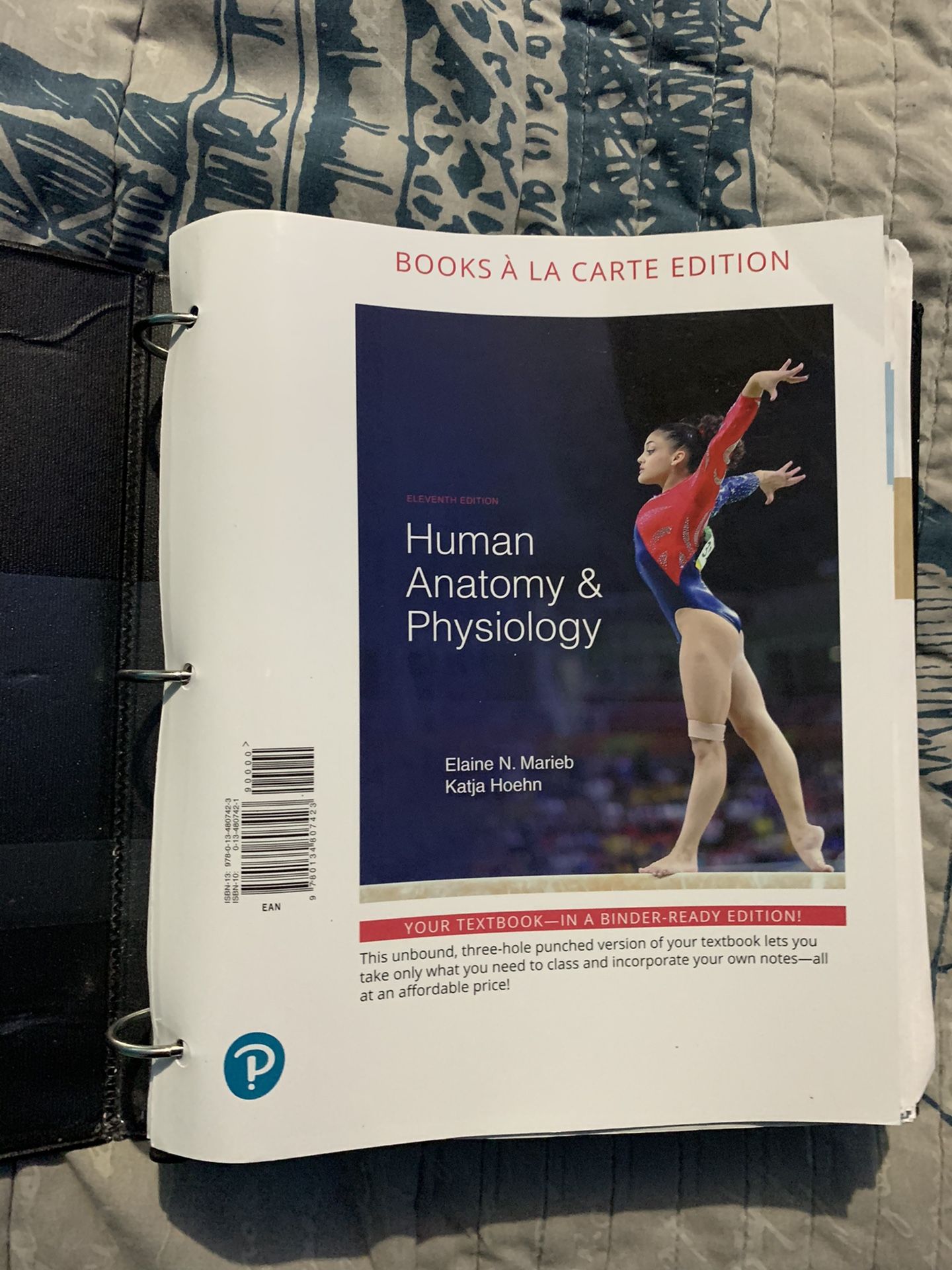Human Anatomy & physiology 11 edition