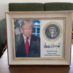 Trump Picture