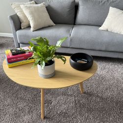 Oval Coffee Table