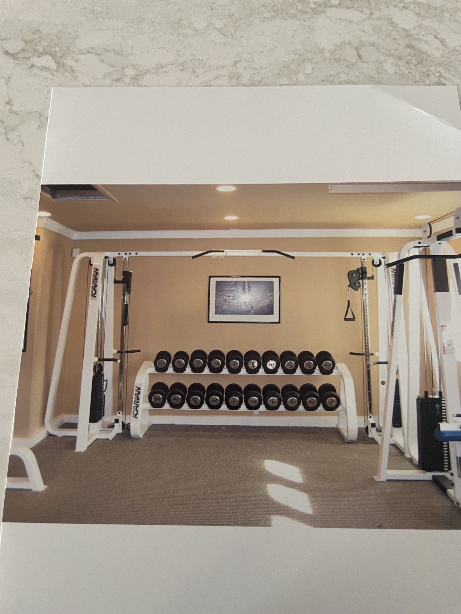 Icarian Commercial Gym Equipment 