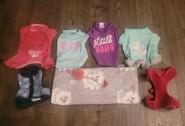 Dog Clothes