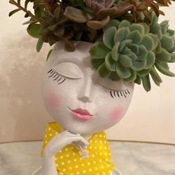 Succulent Arrangement In Face Pot