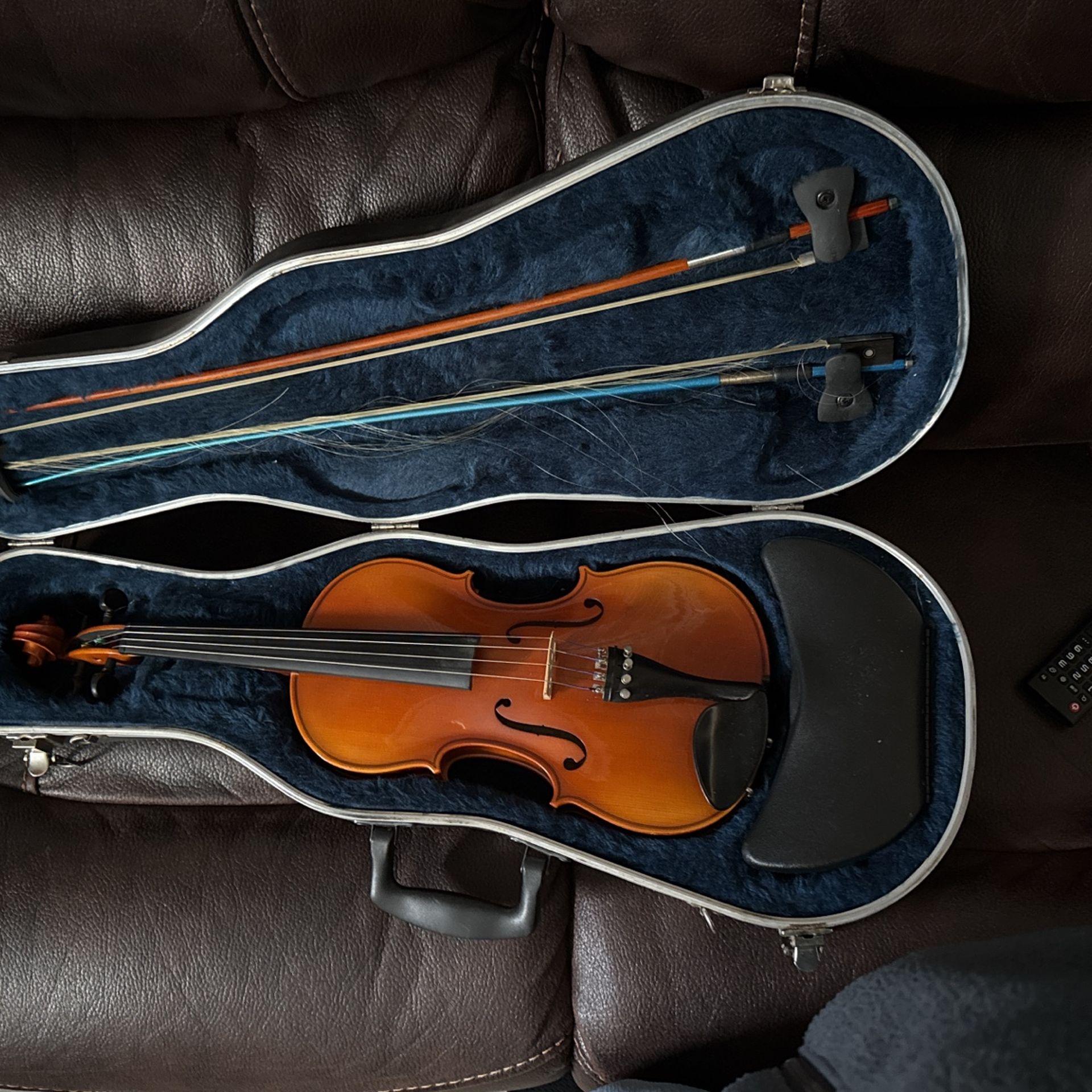 Viola