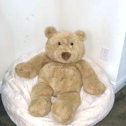 Kid size Teddy Bear