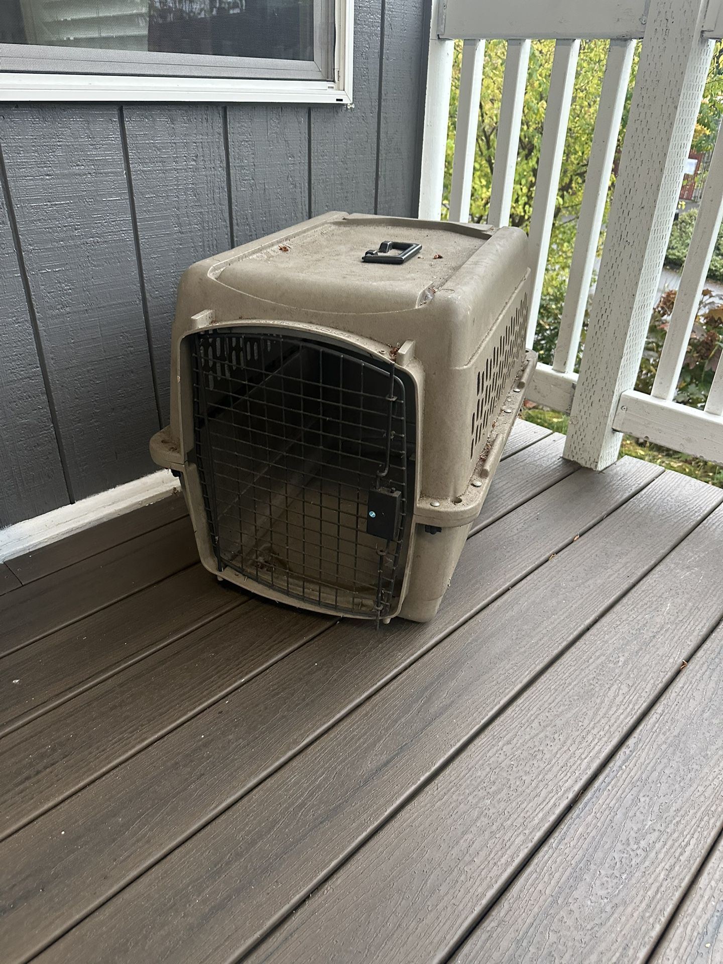 Dog kennel