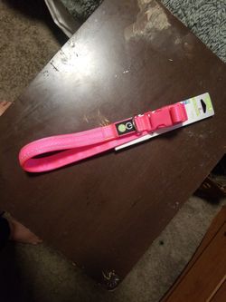 Good2Go LED LIGHT UP COLLAR For Dogs XL