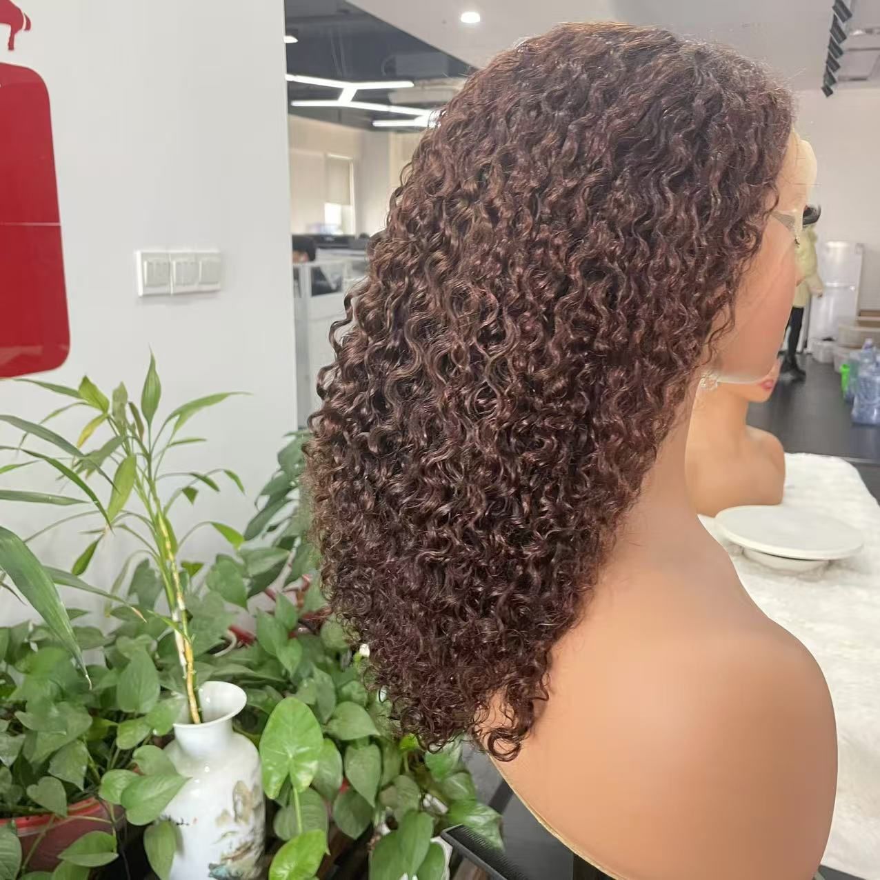 Lace Wig Front Human Hair