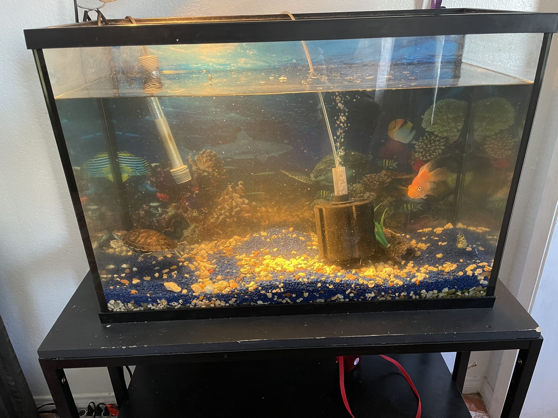 Fish Tank