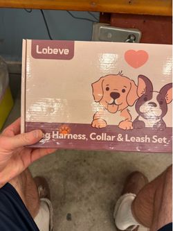 Dog box