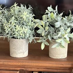 Fake Plants Set Of 4.  Pick Up Only