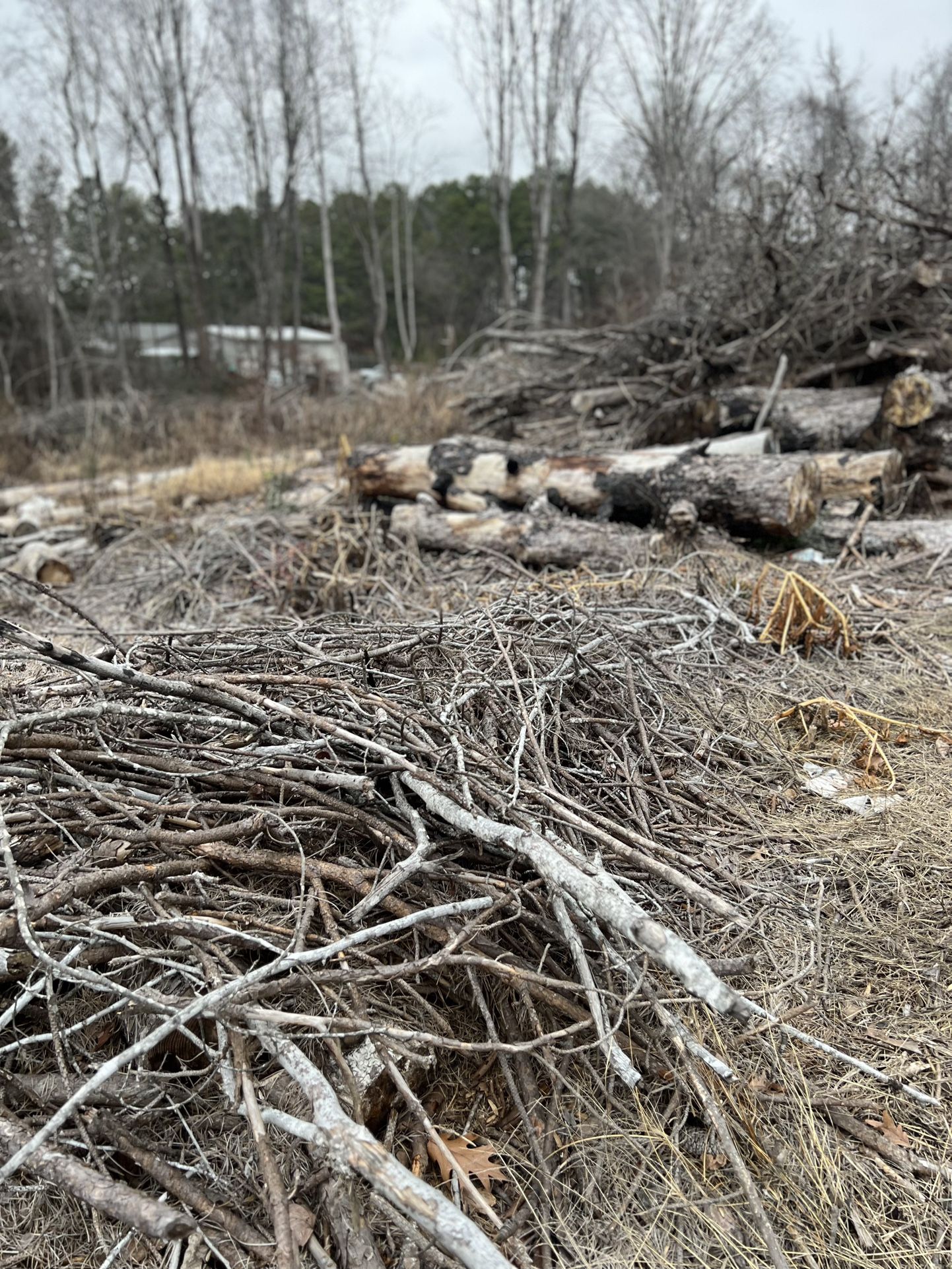 Free Lumber (wood)