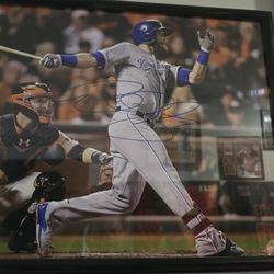 14x20 Alex Gordon Autograph 