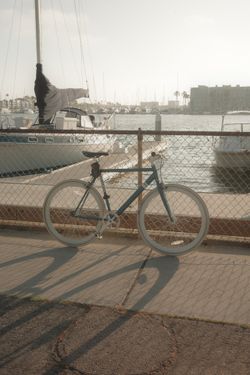 Sole Bicycle - Blue Size 55