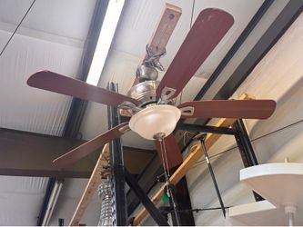 Ceiling fans
