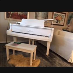 Baby Grand (4’11”)