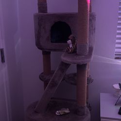 Cat tree