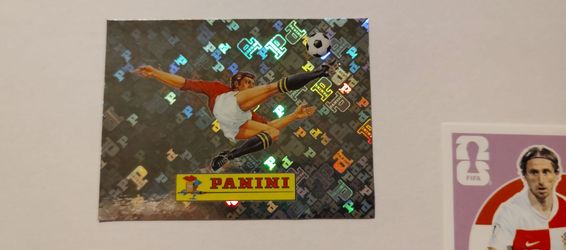 Panini world cup