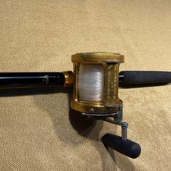 Penn International 2.  50TW / Star Standup Rod