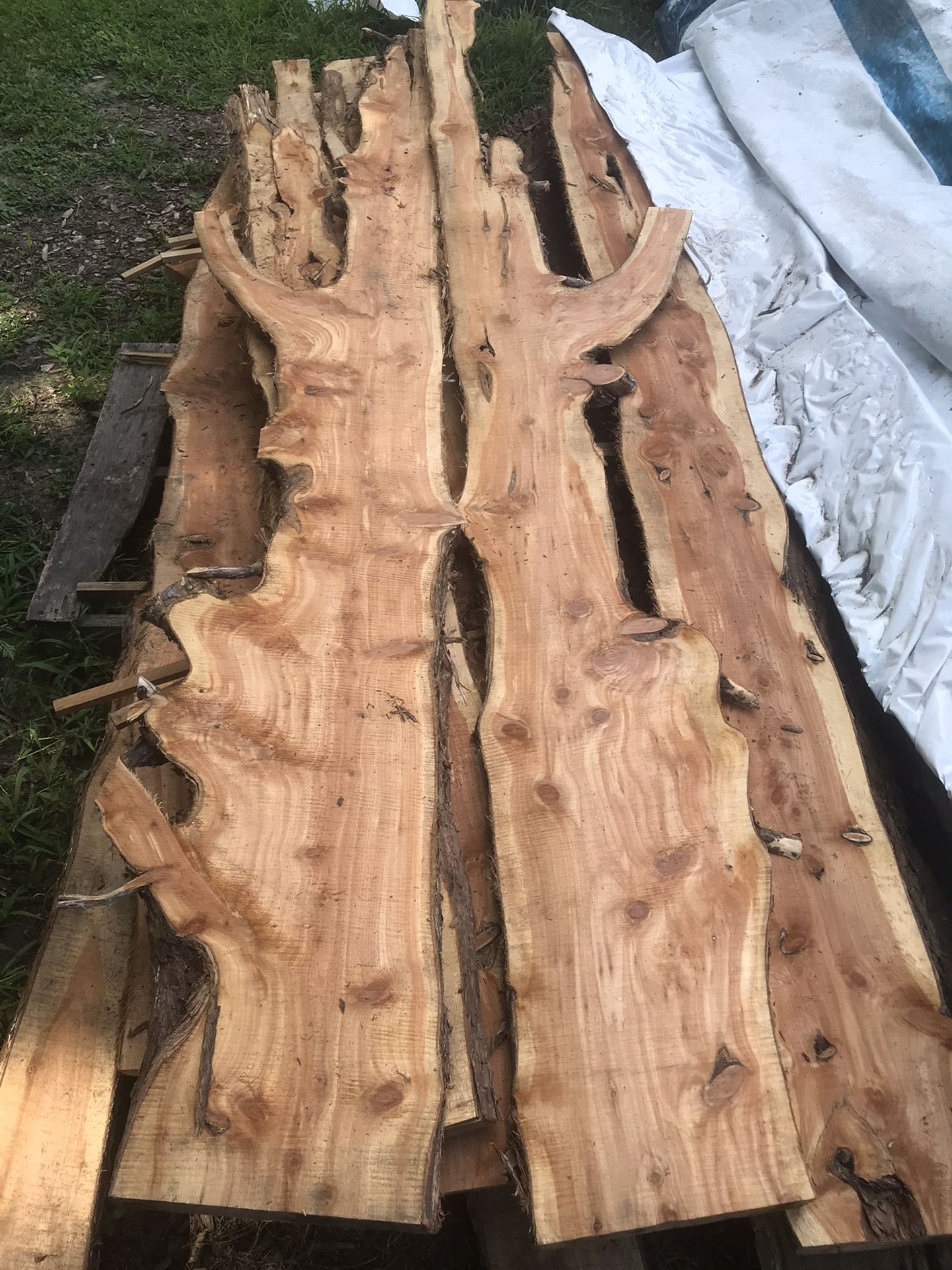 Live Edge Slabs/ Boards