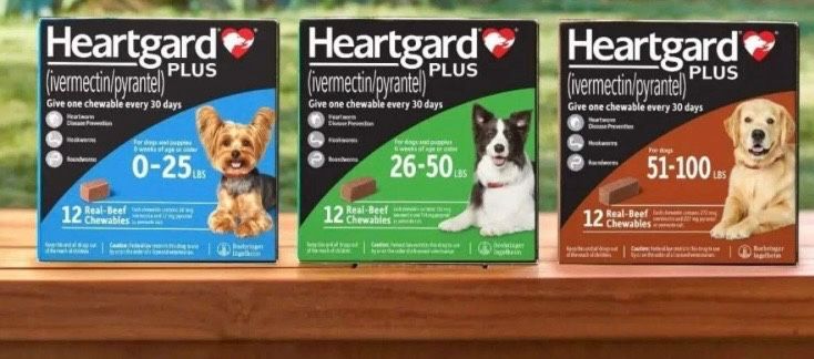 Heart guard For Dogs 
