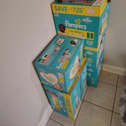 Brand New Pampers Diapers – Unopened Boxes – Sizes Newborn, 1, and 3 – $25–$30/Box