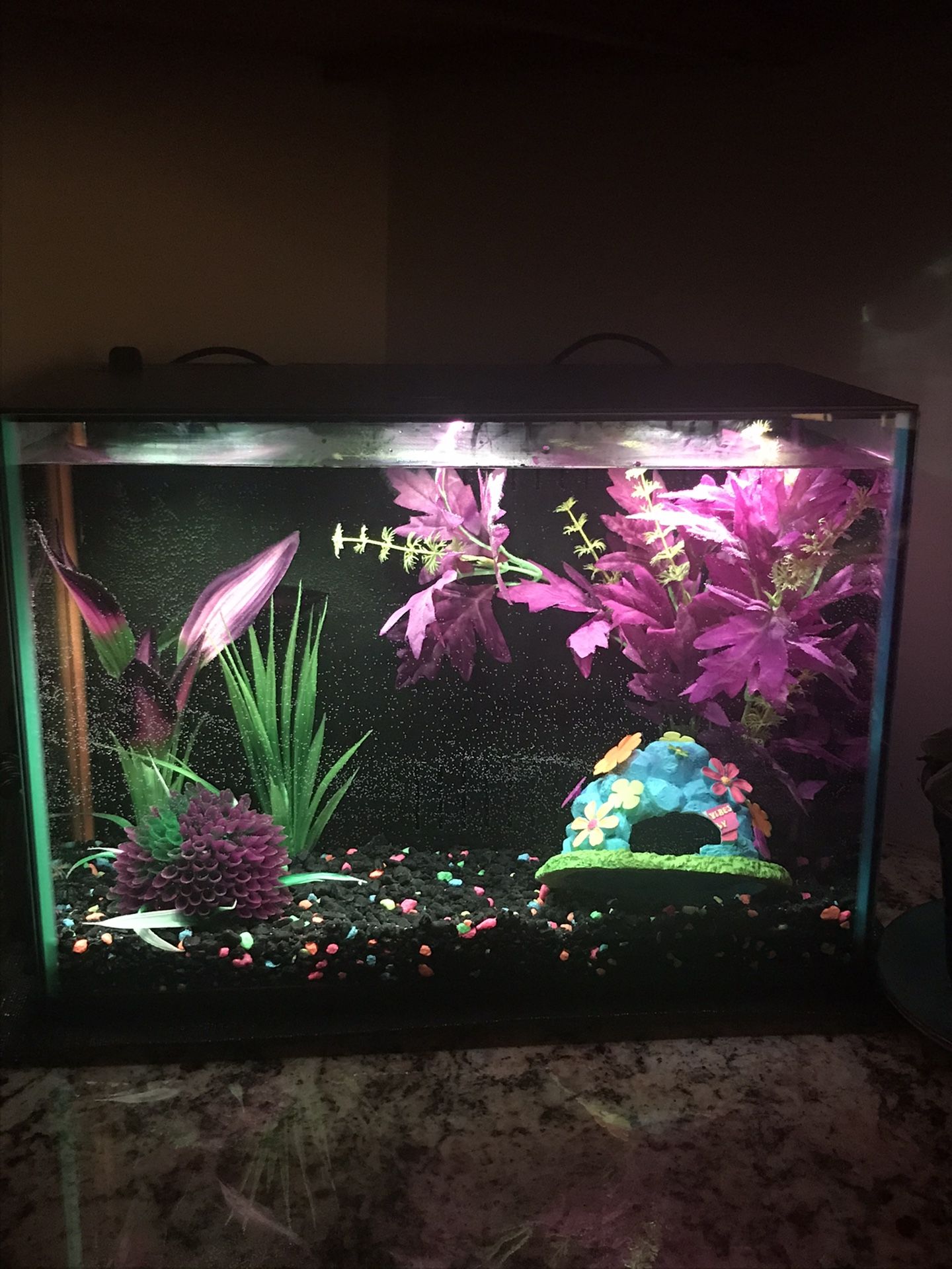 Two Fully Set Fish Aquariums For Sale 