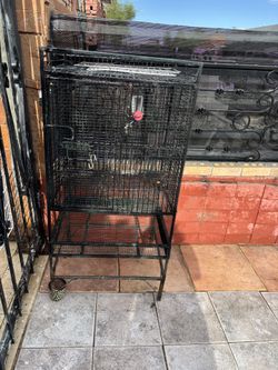 Bird Cage 