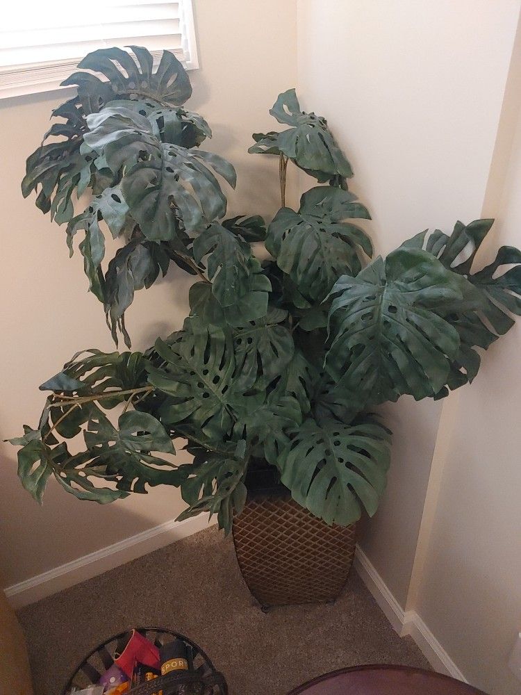 ARTIFICIAL HOUSE PLANT